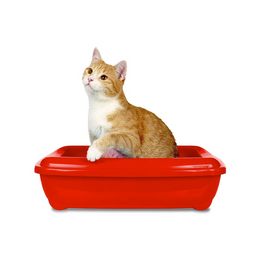 Load image into Gallery viewer, Simple Solution Cat Litter Tray Deodoriser Spray For Cats
