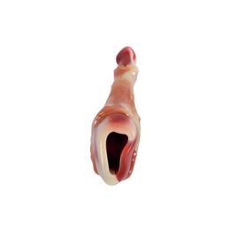 Load image into Gallery viewer, M-PETS Carnivore Drumstick Bacon Flavour Dog Toy
