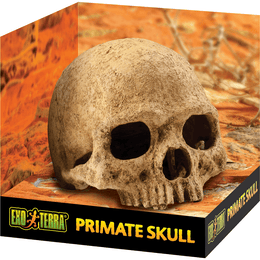 Load image into Gallery viewer, Exo Terra Terrarium Decor - Primate Skull
