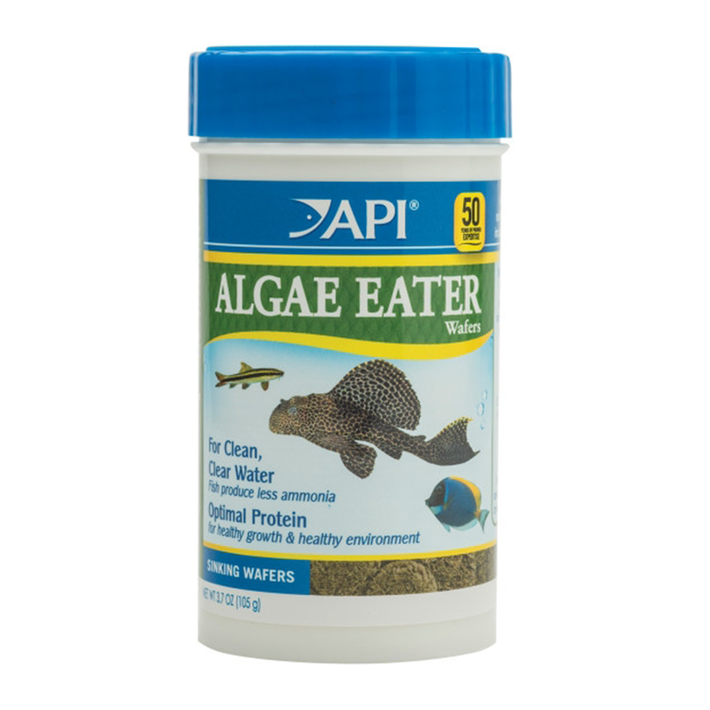 API Algae Eater Wafers Fish Food