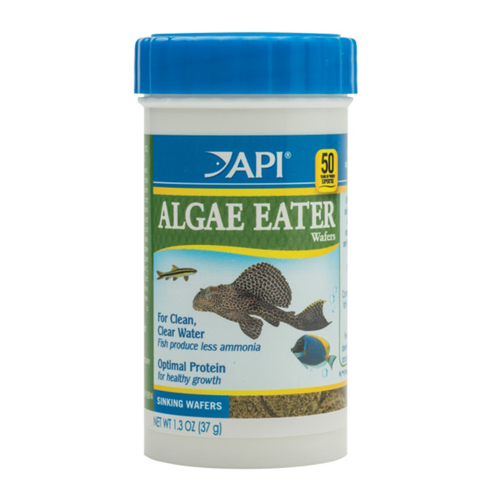 API Algae Eater Wafers Fish Food