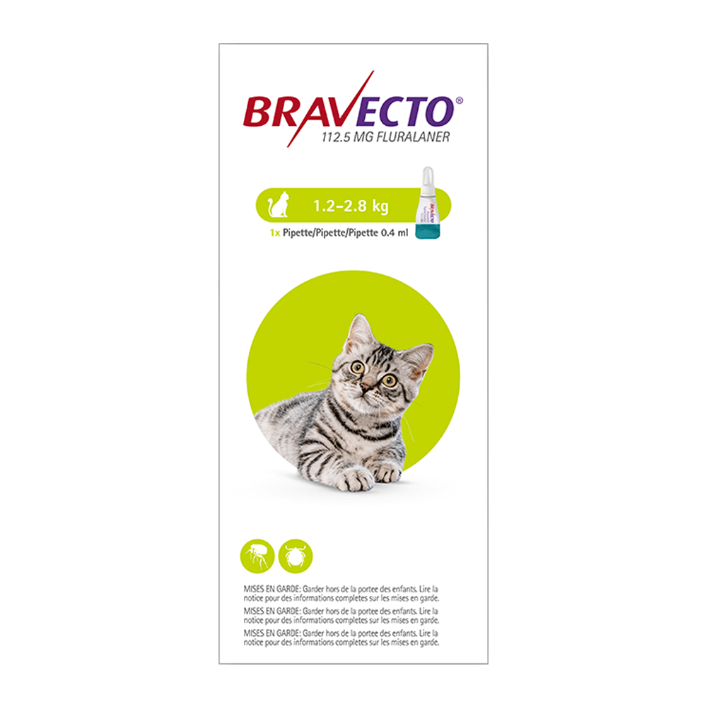 Bravecto Spot On Cat Tick and Flea Treatment