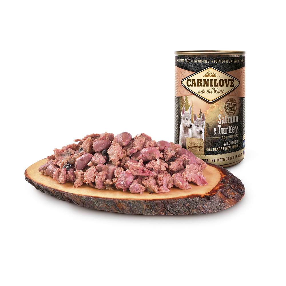 Carnilove salmon sales & turkey puppy