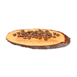 Load image into Gallery viewer, Carnilove Salmon For Adult Dogs 12kg +2kg FREE
