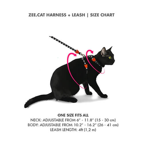 Zee.Cat Phantom Harness & Leash Set