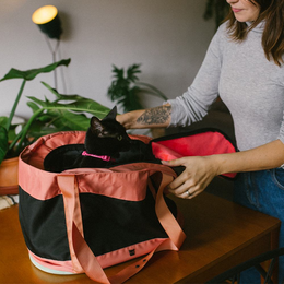 Load image into Gallery viewer, Zee.Cat Terracotta Cat Carrier Bag
