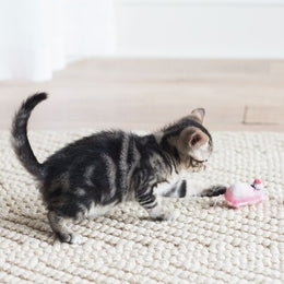 Load image into Gallery viewer, FAT CAT® Classic Eeeks! Original Cat Toy
