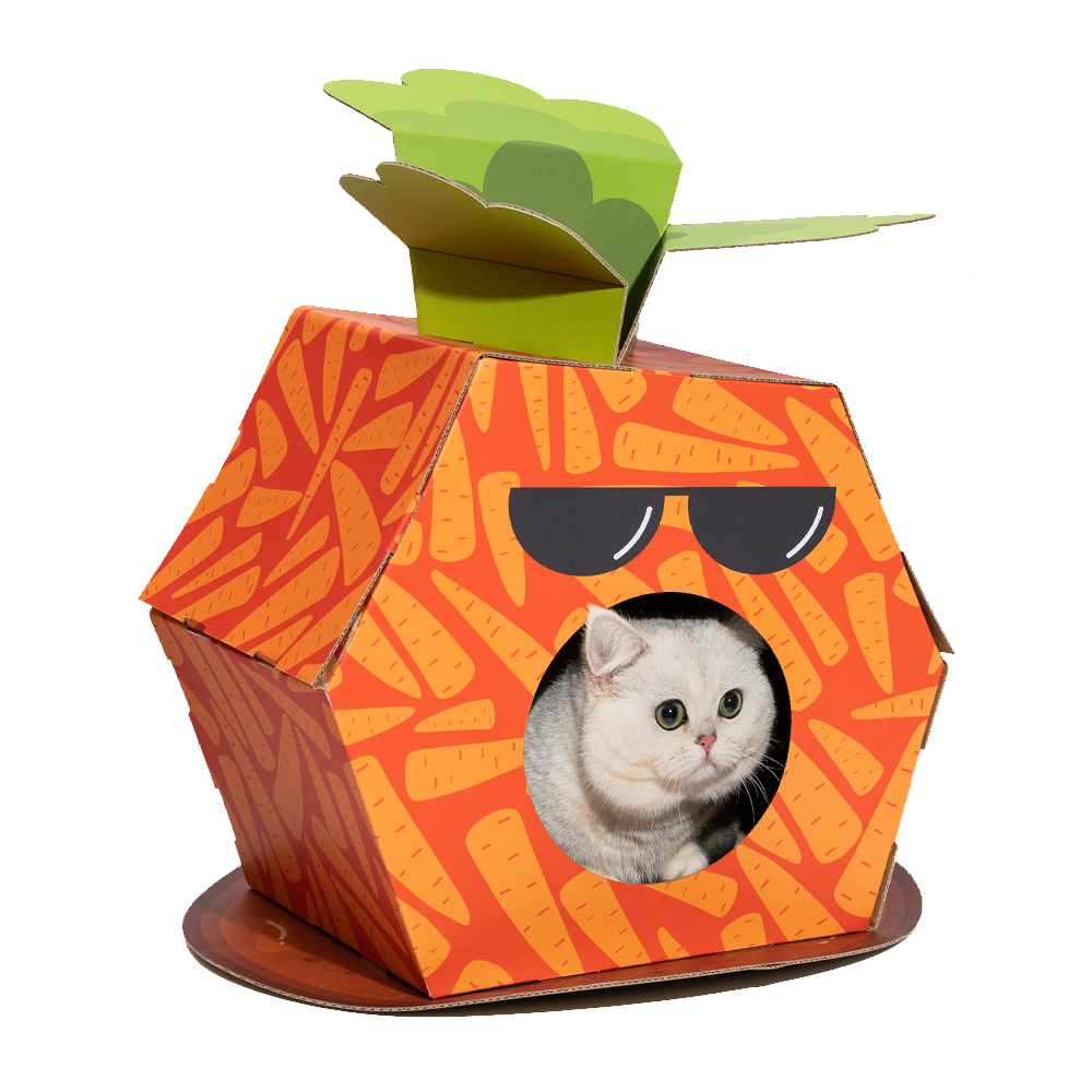 FOFOS Carrot Cardboard Cat House with Scratching Pad