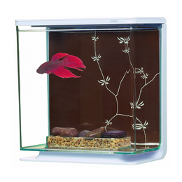 Load image into Gallery viewer, Marina Betta Aquarium Kit - Contemporary

