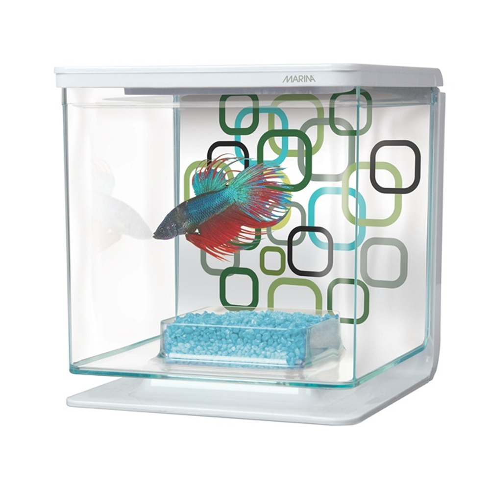 Marina betta 2024 aquarium kit