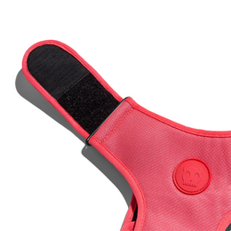 Load image into Gallery viewer, Zee.Dog Neon Coral Adjustable Air Mesh Harness

