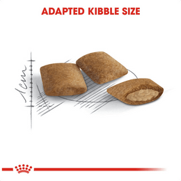 Load image into Gallery viewer, Royal Canin Ageing 12+ Years Dry Cat Food
