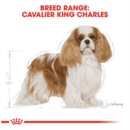 Load image into Gallery viewer, Royal Canin Cavalier King Charles Adult Dry Dog Food

