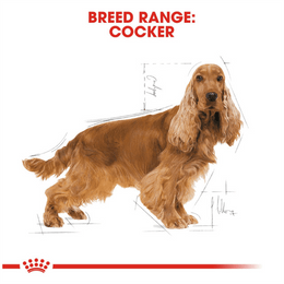 Load image into Gallery viewer, Royal Canin Cocker Adult Dry Dog Food
