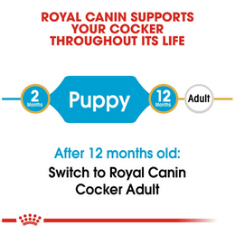 Load image into Gallery viewer, Royal Canin Cocker Puppy Dry Dog Food
