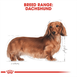Load image into Gallery viewer, Royal Canin Dachshund Adult Wet Dog Food Pouches
