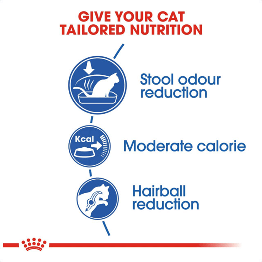 Royal Canin Indoor Dry Cat Food