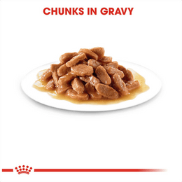 Load image into Gallery viewer, Royal Canin Kitten Sterilised in Gravy Wet Food Pouches
