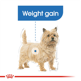 Load image into Gallery viewer, Royal Canin Light Weight Care Wet Dog Food Pouches
