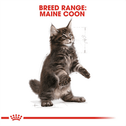 Load image into Gallery viewer, Royal Canin Maine Coon Kitten Dry Cat Food
