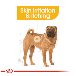 Load image into Gallery viewer, Royal Canin Medium Dermacomfort Dry Dog Food
