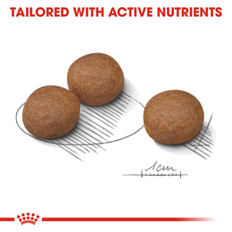 Load image into Gallery viewer, Royal Canin Medium Digestive Care Dry Dog Food
