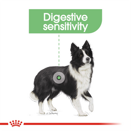 Load image into Gallery viewer, Royal Canin Medium Digestive Care Dry Dog Food

