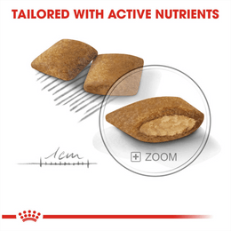 Load image into Gallery viewer, Royal Canin Mini Exigent Dry Dog Food

