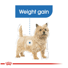 Load image into Gallery viewer, Royal Canin Mini Light Weight Care Dry Dog Food
