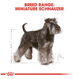 Load image into Gallery viewer, Royal Canin Miniature Schnauzer Adult Dry Dog Food
