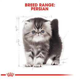 Load image into Gallery viewer, Royal Canin Persian Kitten Dry Cat Food
