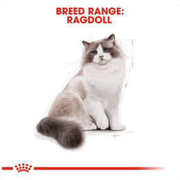 Load image into Gallery viewer, Royal Canin Ragdoll Adult Dry Cat Food
