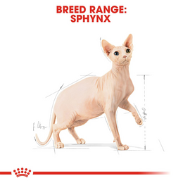 Load image into Gallery viewer, Royal Canin Sphynx Dry Cat Food

