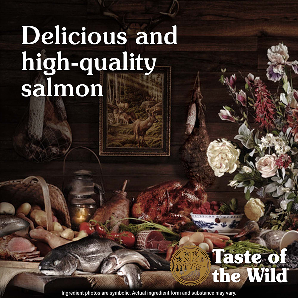Taste of the Wild Pacific Stream Salmon in Gravy Wet Dog Food Can