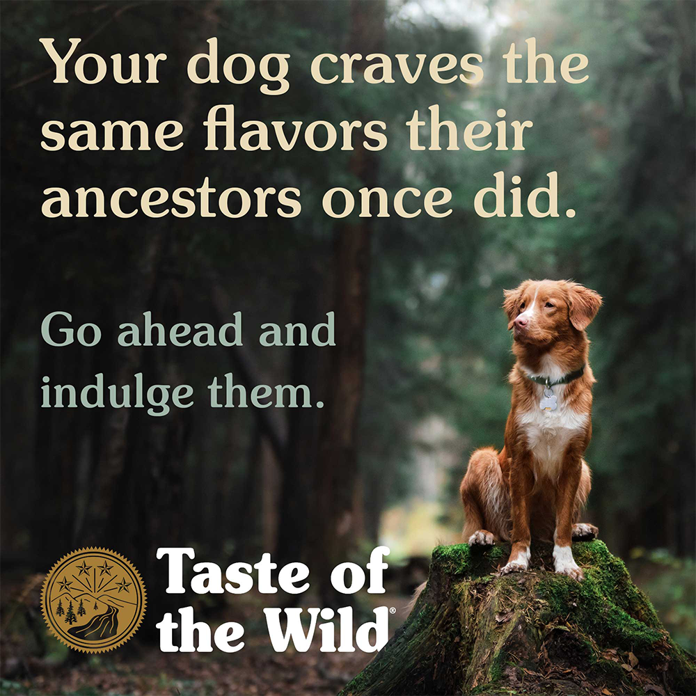 Taste of the Wild Pacific Stream Salmon in Gravy Wet Dog Food Can