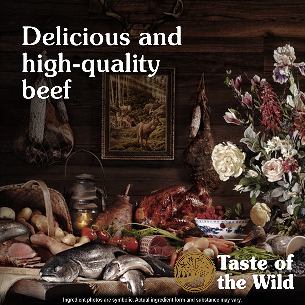 Taste of the Wild Southwest Canyon Beef in Gravy Wet Dog Food Can