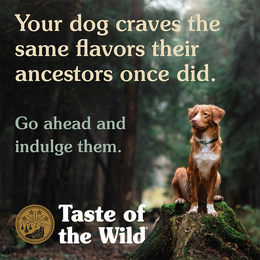 Load image into Gallery viewer, Taste of the Wild Southwest Canyon Wild Boar Dry Dog Food

