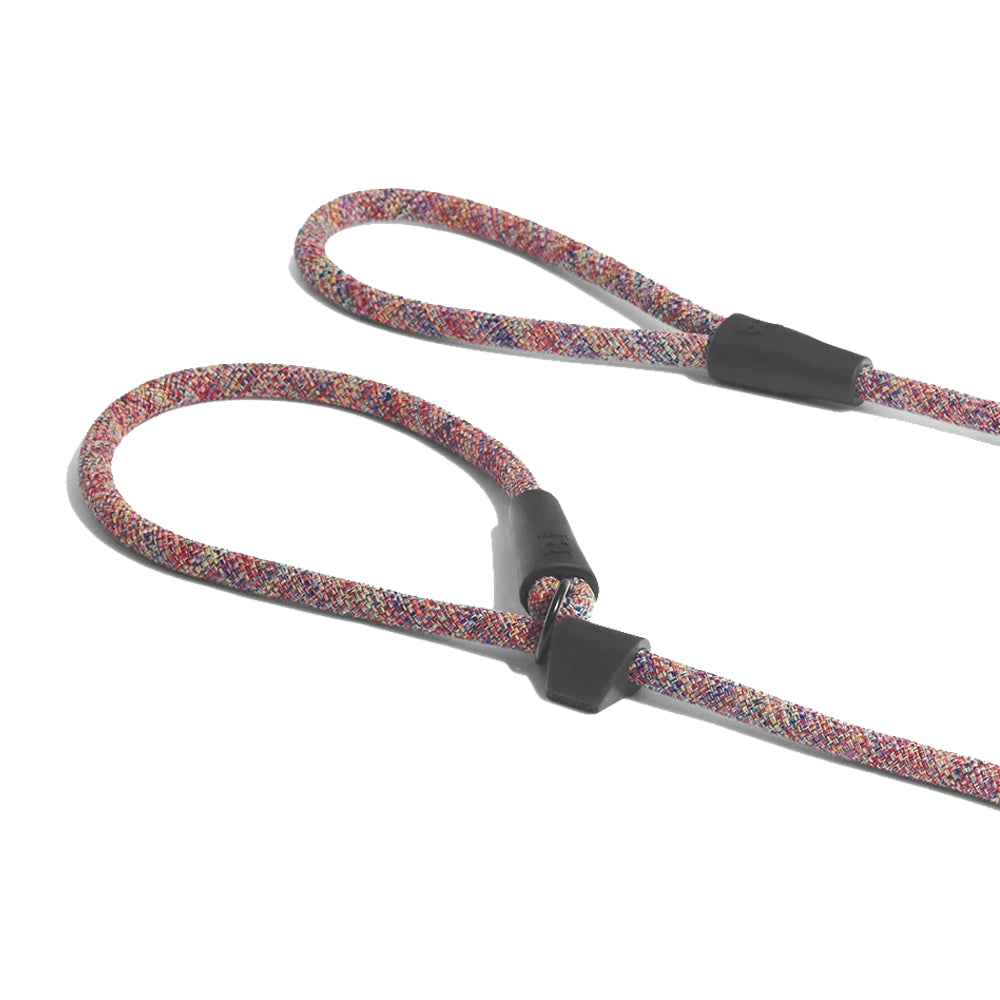 Zee.Dog Vortex Slip On Leash | The Pet Store