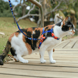 Load image into Gallery viewer, Zee.Cat Atlanta Harness &amp; Leash Set
