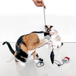 Load image into Gallery viewer, Zee.Cat Finger Puppets Cat Toy
