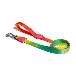 Load image into Gallery viewer, Zee.Dog Citrus Leash

