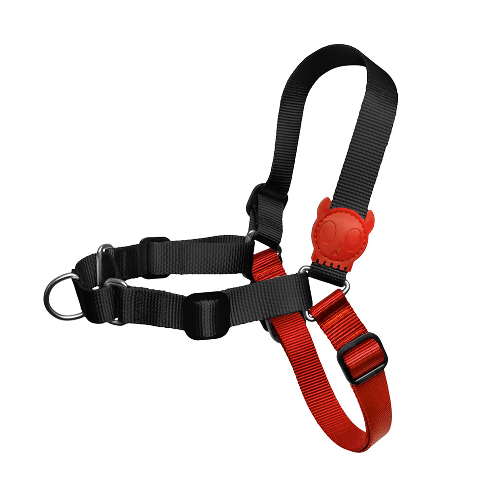 Zee shop dog harness