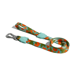 Load image into Gallery viewer, Zee.Dog Florida Leash
