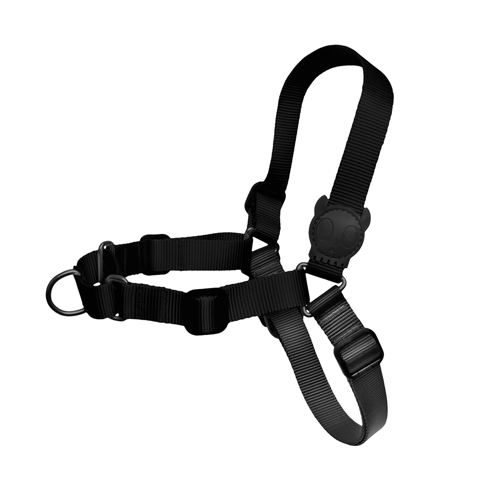 Black dog harness deals