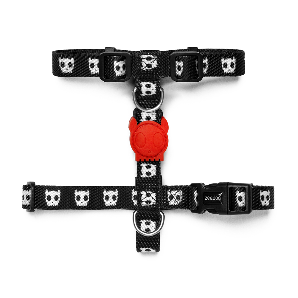 Skull dog deals collar