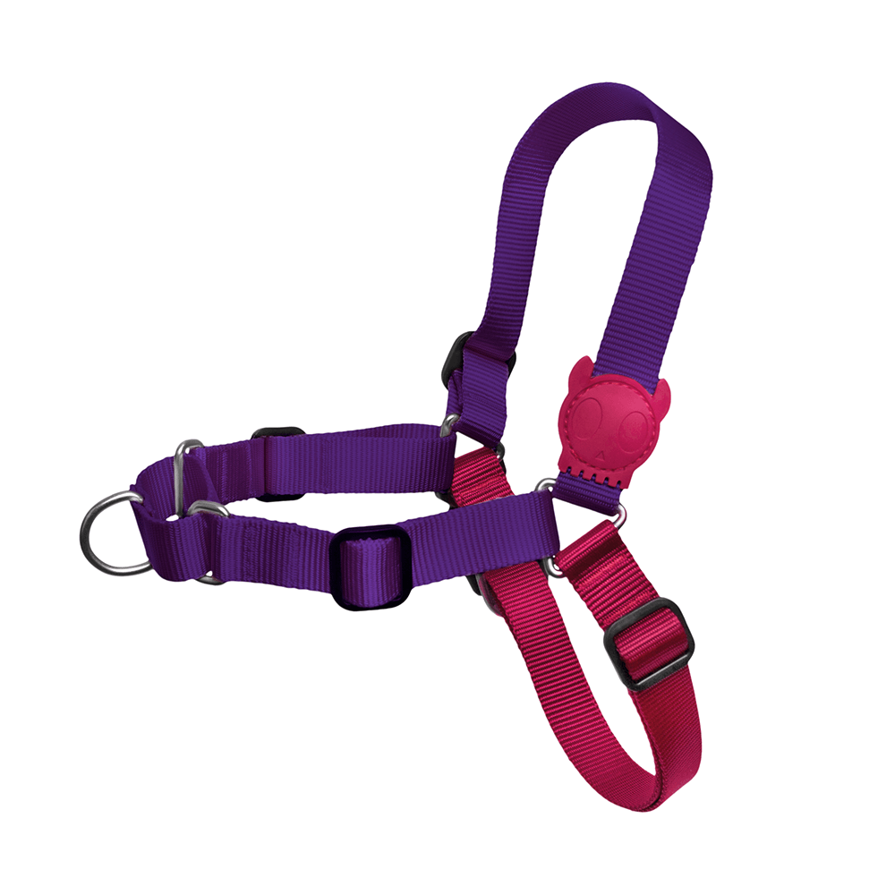 Purple dog deals harness