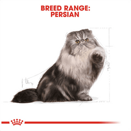 Load image into Gallery viewer, Royal Canin Persian Adult  Dry Cat Food
